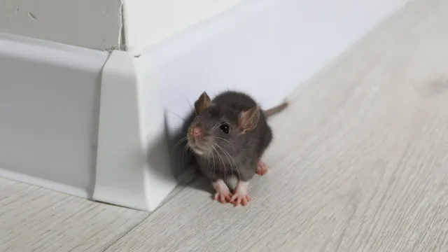 Enclosure