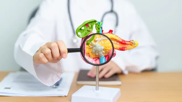 
                    Cancro do pâncreas: IA pode detetar doença mais cedo, diz estudo
                