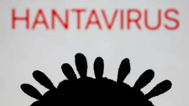 
                    Cientistas estão a desenvolver vacina contra o hantavírus
                