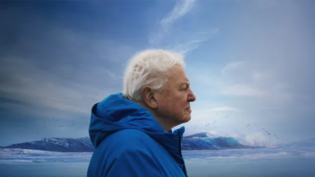 
                    David Attenborough faz 100 anos. Saiba onde ver alguns dos documentários
                