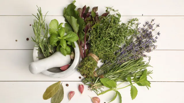 
                    Esta erva aromática é barata, versátil e rica em vitaminas
                
