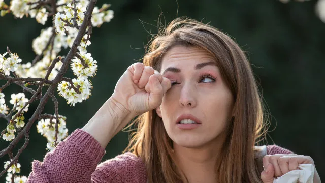 
                    Está com alergias? Nada de esfregar os olhos, alerta oftalmologista
                