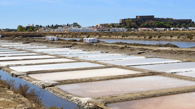 
                    PJ investiga morte de homem encontrado nas salinas de Castro Marim
                
