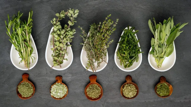 
                    Como secar ervas aromáticas: Guia prático e passo a passo
                