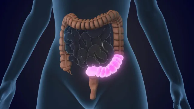 
                    4 regras (obrigatórias) para proteger o intestino ao tomar antibióticos
                