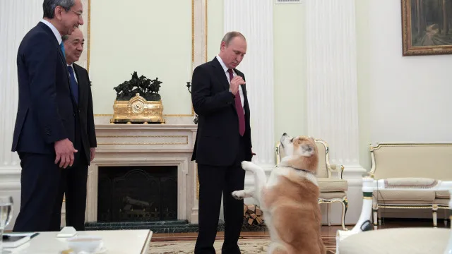 
                    Morreu Yume, a cadela que o Japão ofereceu a Putin em 2012
                