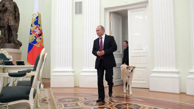 
                    Terminou reunião de Putin com enviados de Trump para discutir fim da guerra
                