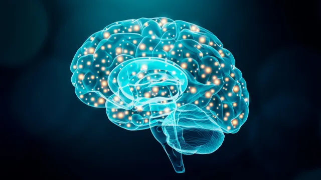 Neurologista revela os 5 truques para o “cérebro demorar a envelhecer”