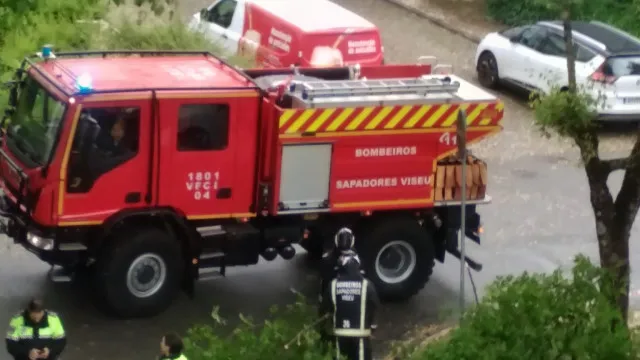 
                    Vento forte provoca queda de árvores que danificaram viaturas em Viseu
                