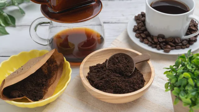 
                    É verdade que as borras de café servem como repelente de formigas?
                