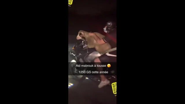 Homem transporta ovelha na mota em plena autoestrada em França. Veja