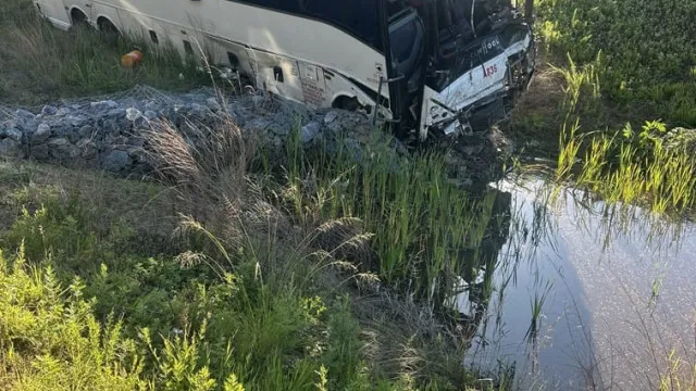 
                    Condutor de autocarro que causou choque em cadeia acusado de homicídio
                