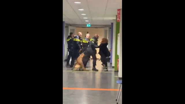 
                    Polícia atira mulher grávida ao chão nos Países Baixos. As imagens
                