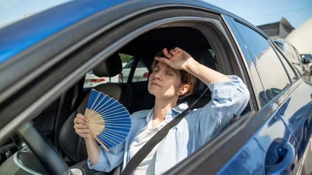 
                    Viajar com calor? Atenção aos riscos para pessoas e animais
                