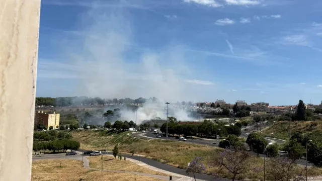 
                    Incêndio deflagra perto de campo de futebol nas Olaias. Veja as imagens
                