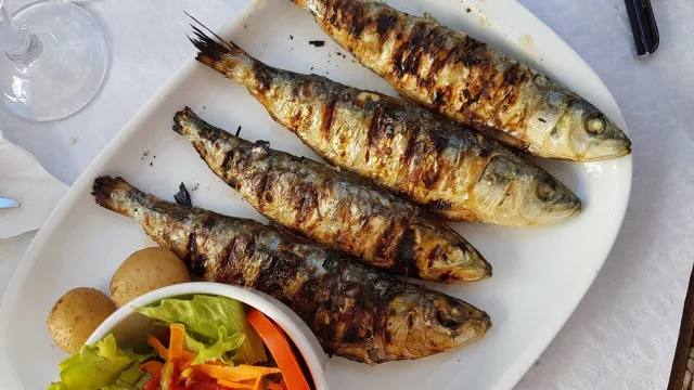 
                    Falta pouco para começar a Festa da Sardinha em Coimbra
                
