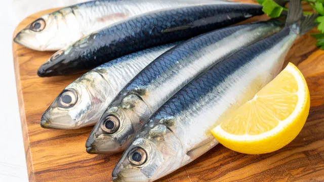 
                    Como escolher a melhor sardinha? Tome nota destas dicas
                