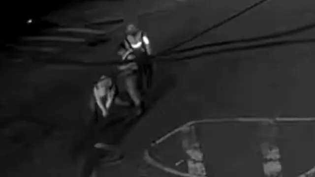 naom_6a22b356a62cc Tartarugas Ninja em Nova Iorque? O que se passa nos esgotos da cidade?