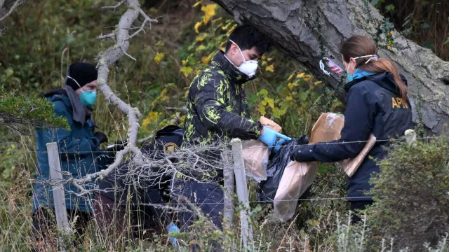 
                    Hantavírus: Argentina alarga análise de roedores a mais uma província
                