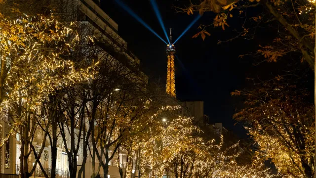 
                    Marga Alfeirão e Dançando com a Diferença em festival de Paris
                