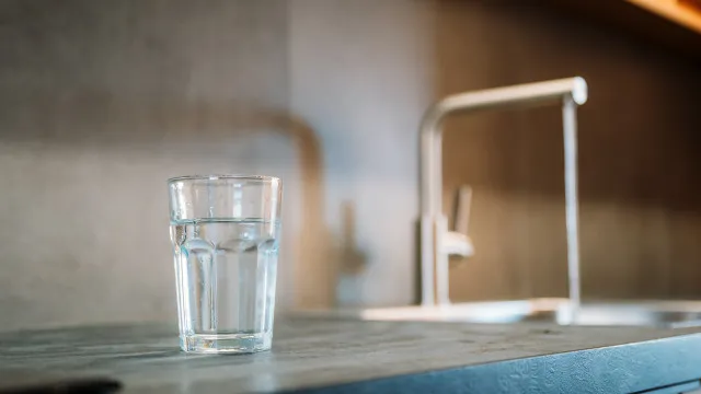 
                    Se for de férias, deixe um copo de água ao lado do lavatório da cozinha
                