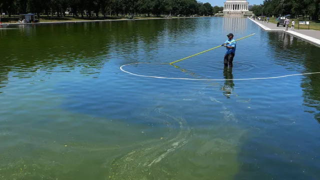 Ex-atleta olímpico detido por vandalizar lago do Memorial Lincoln