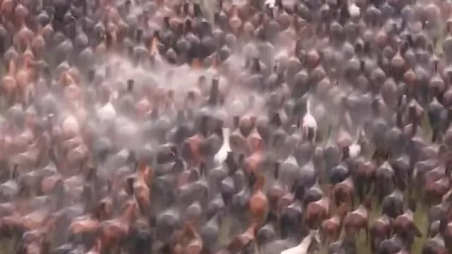 
                    Impressionante. 10 mil cavalos galopam sob chuva torrencial na China
                