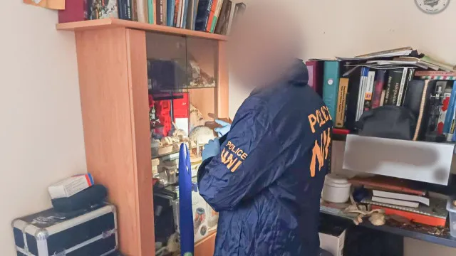 
                    Hungria. Levava restos mortais de cemitérios e comia-os (cozinhados)
                