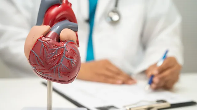 
                    Cinco hidratos de carbono que fazem bem ao coração, segundo especialistas
                