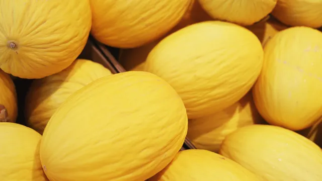 
                    Como escolher o melão perfeito no supermercado: 4 dicas essenciais
                