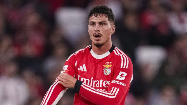 Ivanovic de saída do Benfica. Os detalhes do acordo com o Hull City