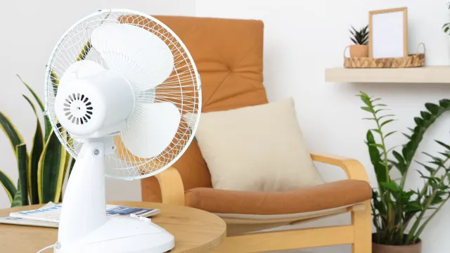 
                    5 tarefas domésticas que deve fazer antes da chegada da onda de calor
                