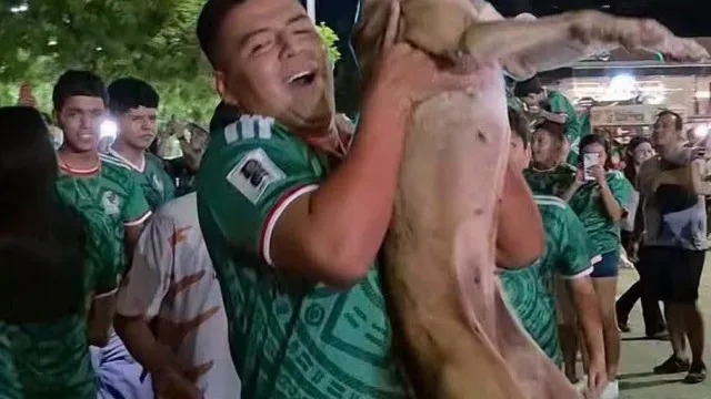 
                    Encontra cadela desaparecida num direto. Estava em festejos do Mundial
                