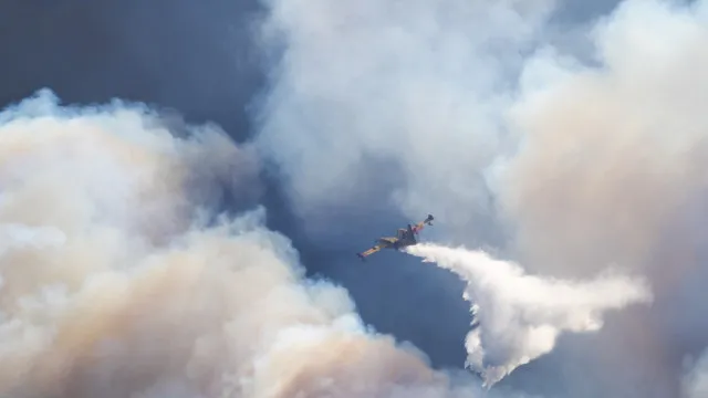 
                    Fogo que começou em Vouzela já queimou mais de sete mil hectares
                