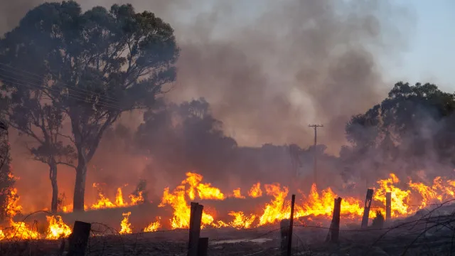 
                    Autoestrada A 25 reaberta e fogo em Tondela está circunscrito
                