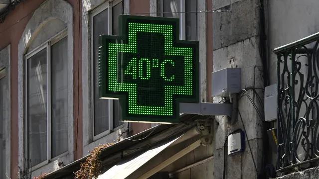 
                    Com 40ºC em Lisboa, muitos procuram a sombra. As imagens do país a ferver
                