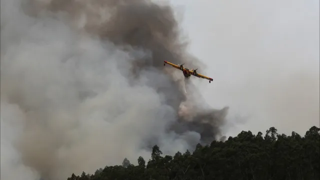 Cerca de uma centena de concelhos em perigo máximo de incêndio