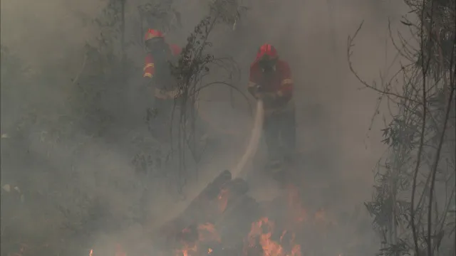 Fogo em Penafiel em resoluÃ§Ã£o, mantÃªm-se ativo o da Guarda