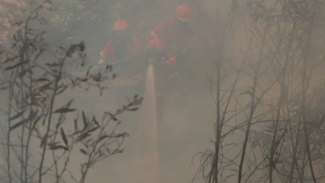 
                    Fogo em habitação deixa uma família desalojada em São João da Pesqueira
                