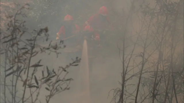 Fogo em Ferreira do ZÃªzere em resoluÃ§Ã£o uma hora apÃ³s alerta