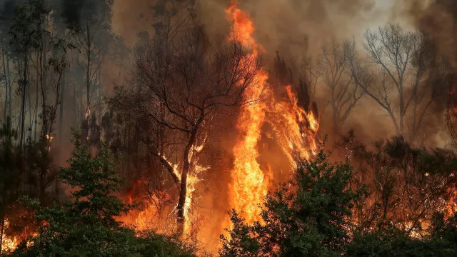 Frente "preocupante" do fogo em Vouzela comeÃ§a a ceder
