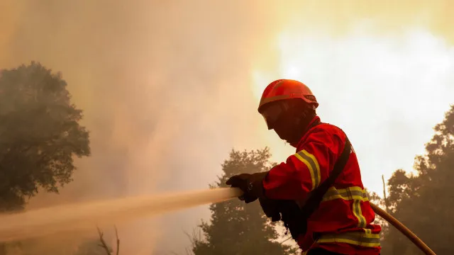 
                    Incêndios: Mais de 300 bombeiros voluntários feridos em serviço este ano
                