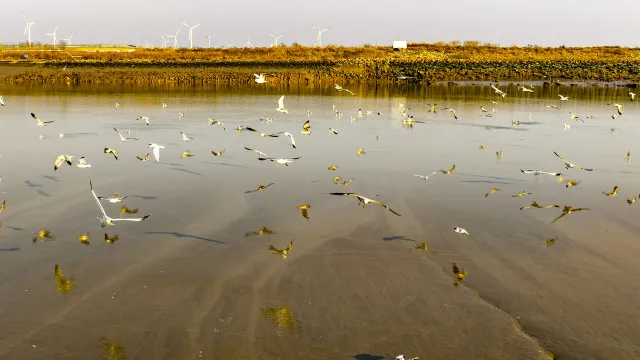 Pequim e Moscovo anunciam exercícios navais no mar Amarelo e Pacífico