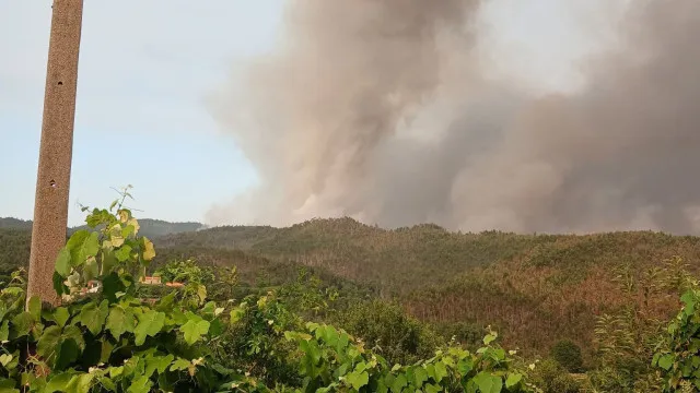 
                    Fogo de Vouzela continua ativo com uma das frentes dominada
                