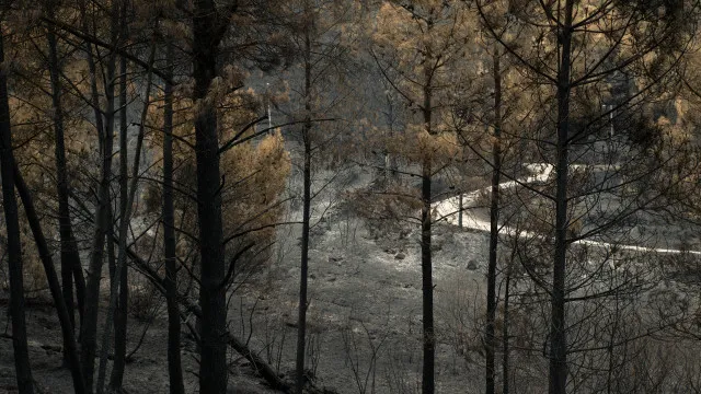 Fogo em Gondomar em fase de conclusÃ£o