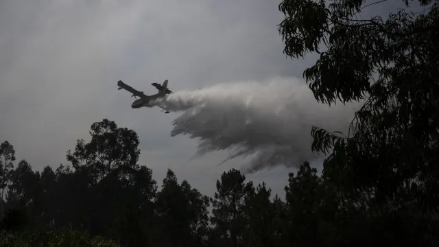 
                    Fogo em Portel com uma frente ativa que está a ceder aos meios
                