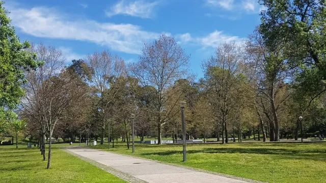 
                    CML quer rever classificação de espaços verdes para não fecharem no calor
                
