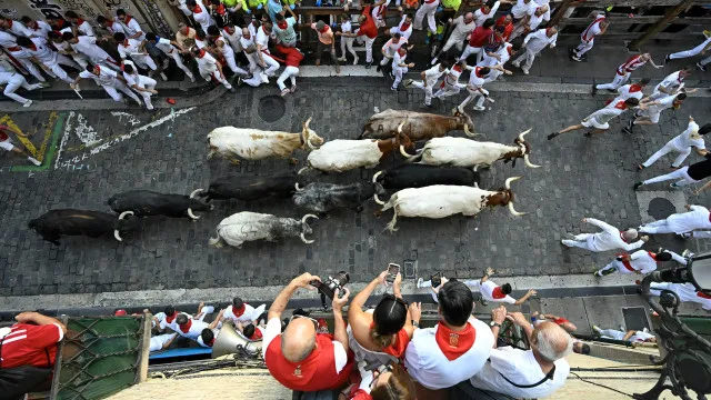 
                    Touros, largadas, tradições. Pamplona enche-se para festas de San Fermín
                