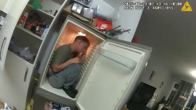 Homem esconde-se da polícia... em frigorífico. Veja o momento