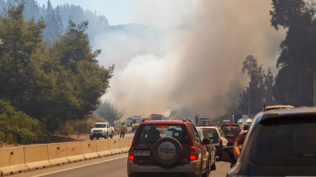 
                    Vai a conduzir e apanhou um incêndio? Saiba como ficar a salvo
                